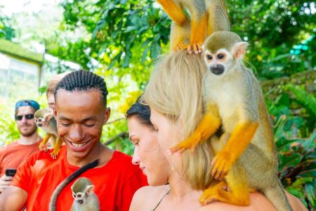 Monkey House