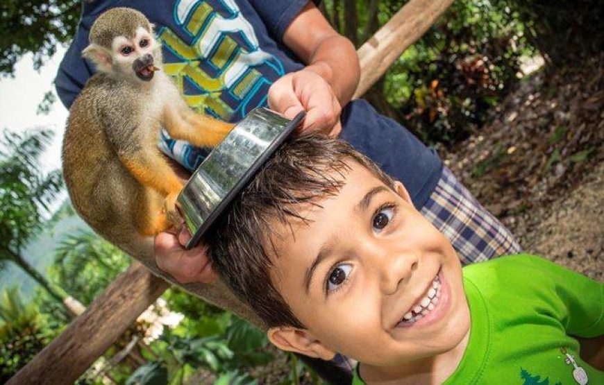 Monkey House