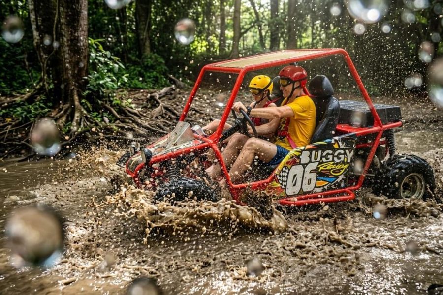Fast Buggies