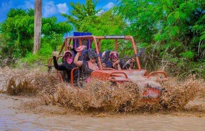 Family Buggy
