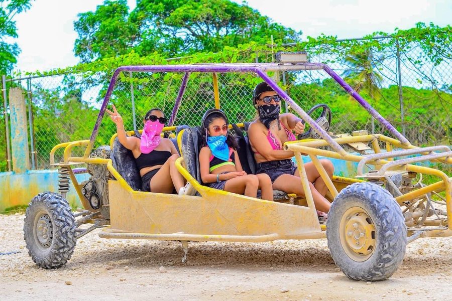Family Buggy