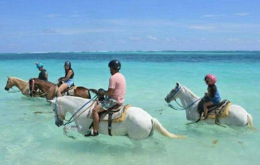 Horseback riding