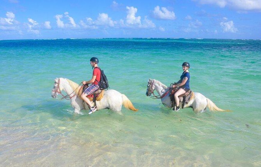 Horseback riding