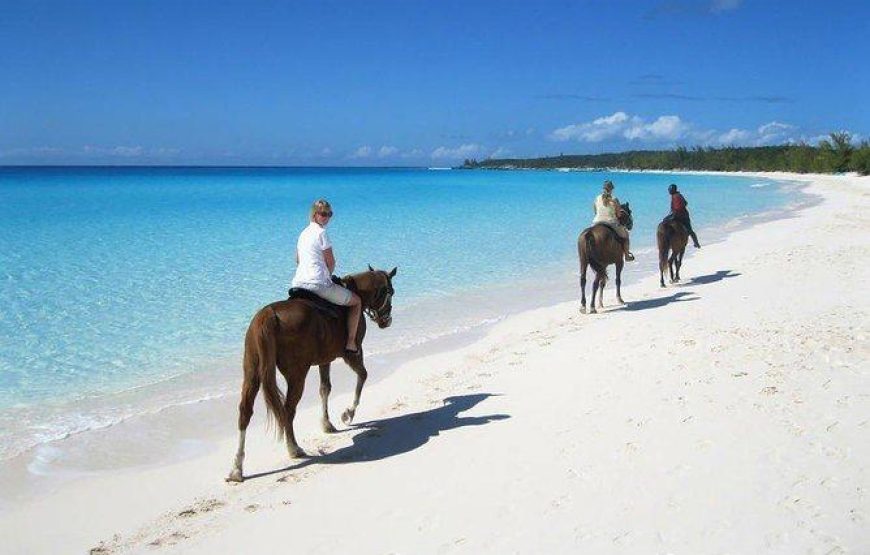 Horseback riding