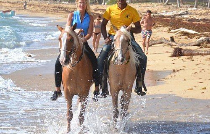 Horseback riding