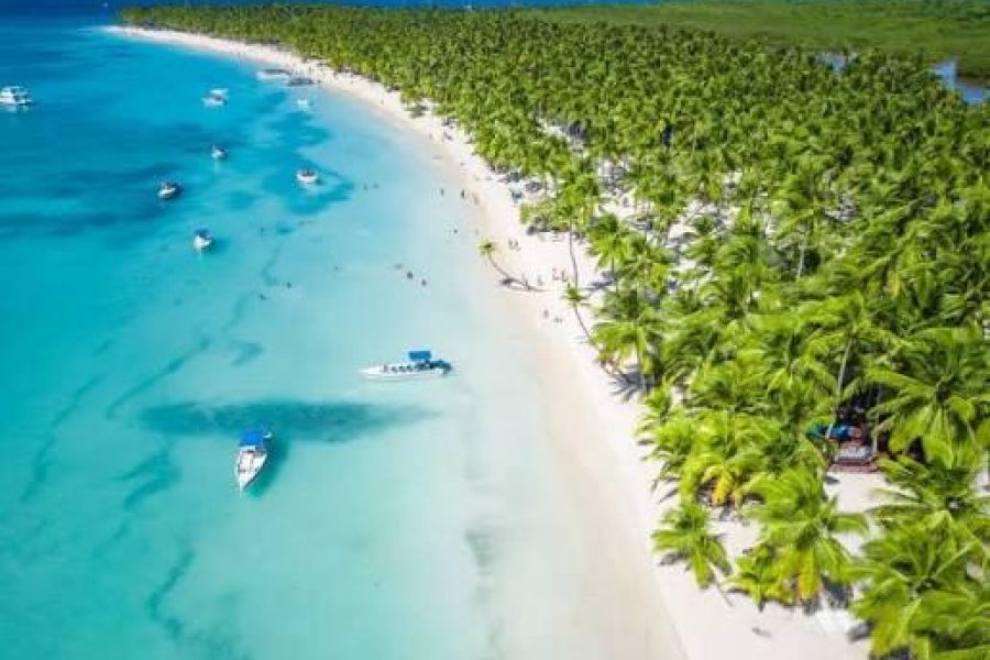 Saona VIP